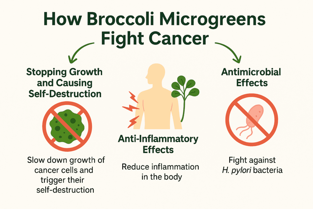 Broccoli microgreens on a plate