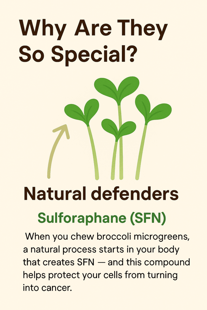 The sulforaphane molecule and how myrosinase releases it