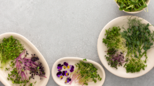 Microgreens as healthy lifestyle
