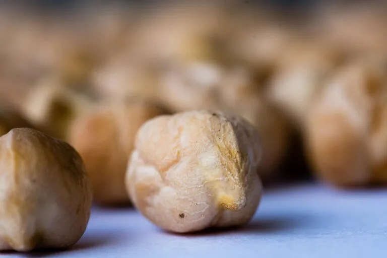 Close-up of dry chickpea seeds on a pale surface