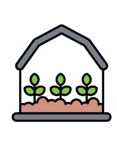 microgreens the future of urban agriculture and superfoods