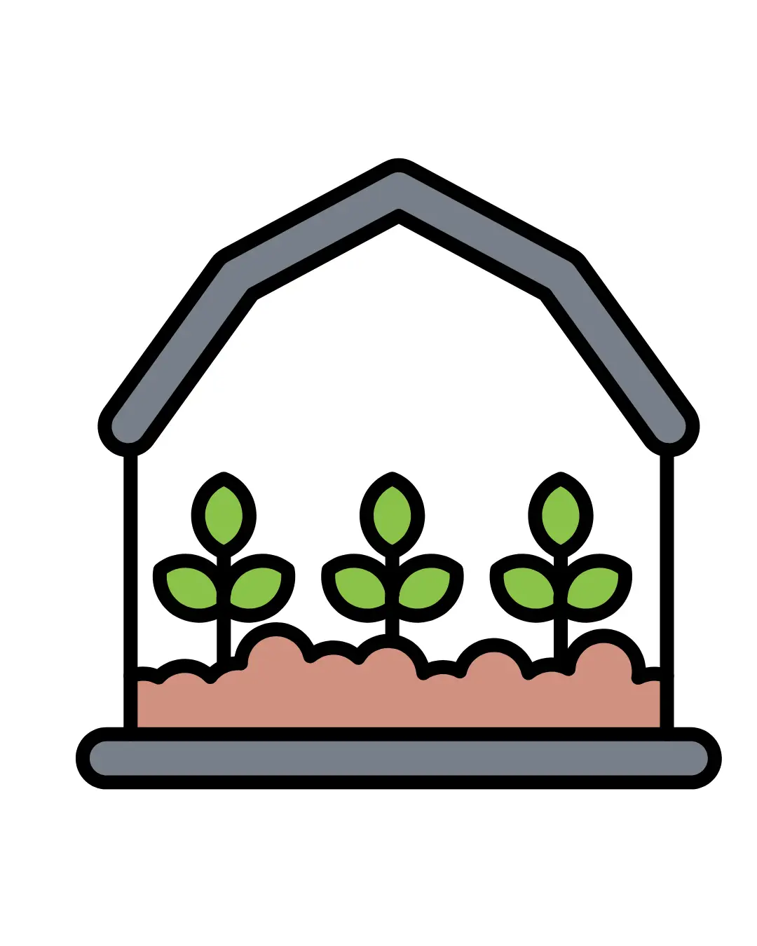 microgreens the future of urban agriculture and superfoods