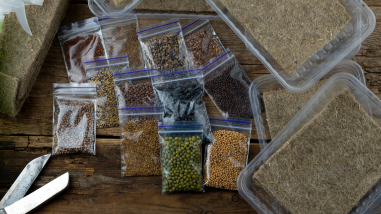 extending shelf life of microgreens