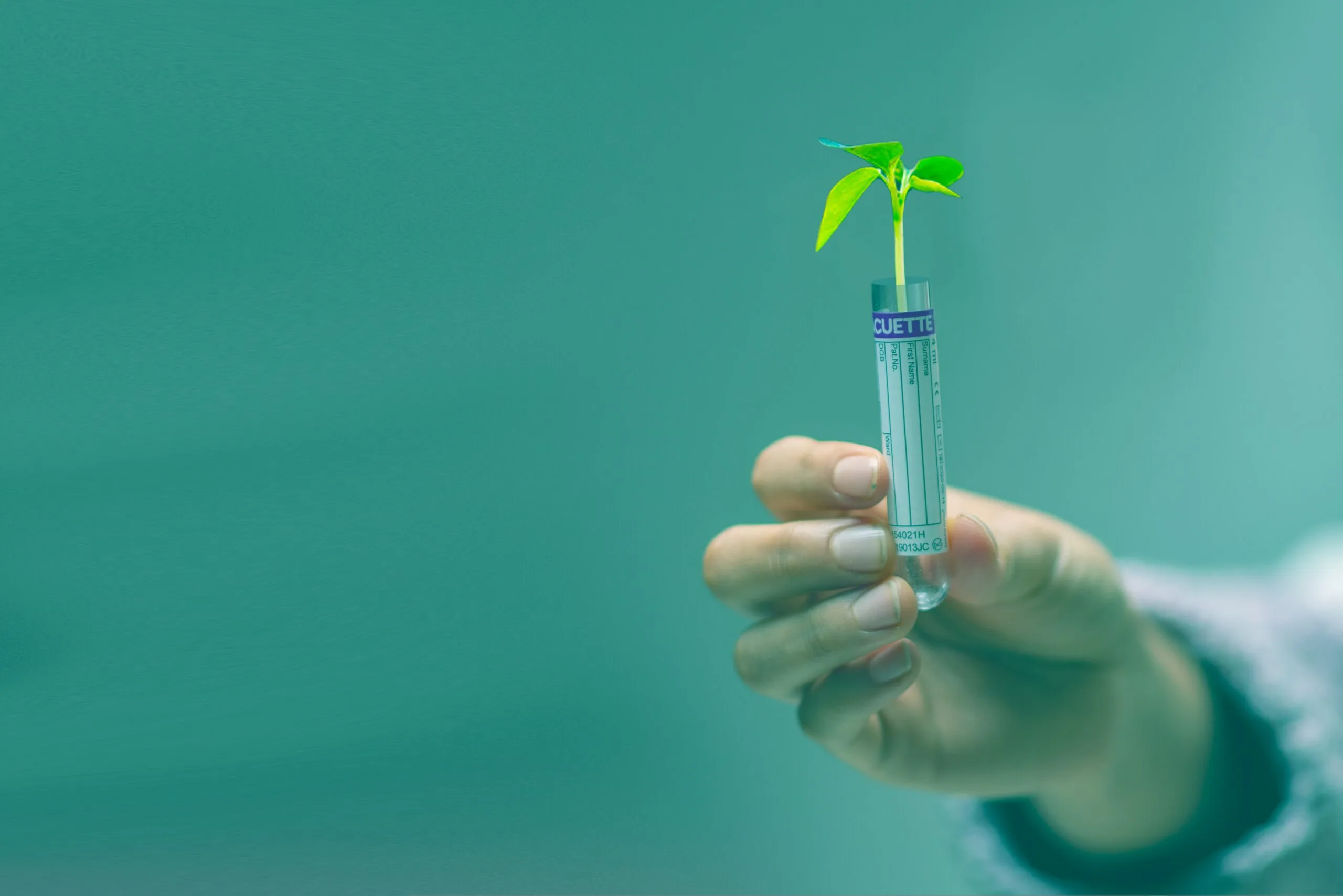 Hand holding a clear laboratory tube from which a small green seedling with two leaves grows, against a plain teal background