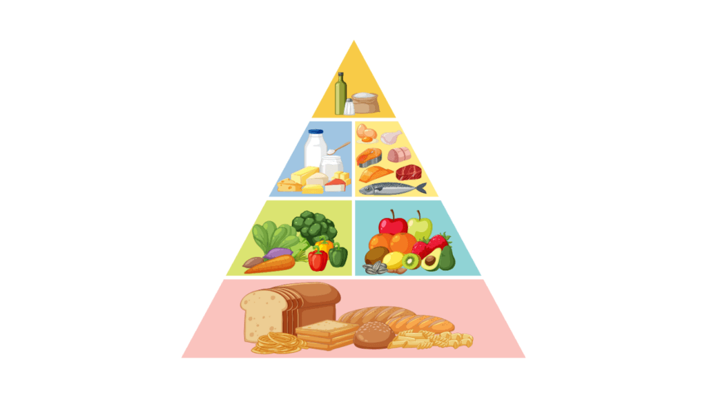 Illustrated food pyramid with bread, pasta and cereals at the base, vegetables and fruit above them, then dairy and protein foods, and oil, salt and sugar at the tip
