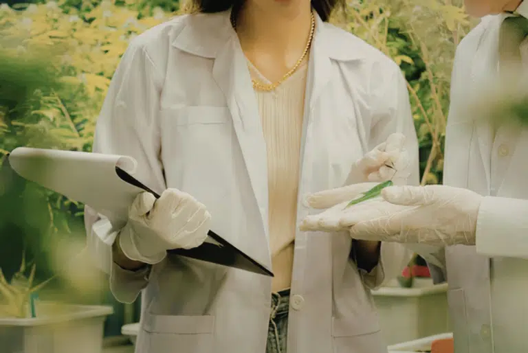 Two people in white lab coats and white gloves standing among greenhouse foliage; one holds a clipboard while the other cradles a single green seedling in an open palm