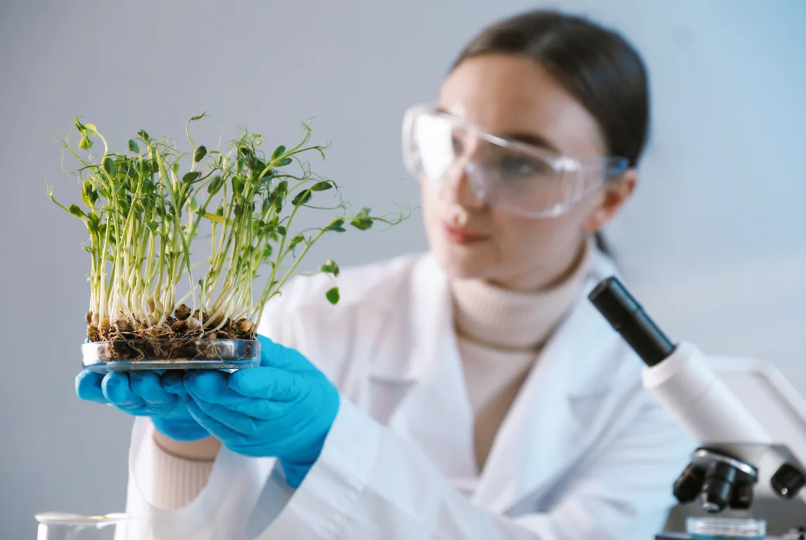 Woman in a white lab coat and clear safety goggles holding up a petri dish of tall pea shoots with visible seeds and roots, a microscope in the foreground
