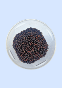 Broccoli seeds in a glass dish, round and dark purple-brown