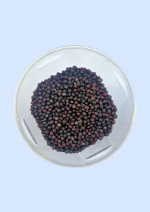 Broccoli seeds in a glass dish, round and dark purple-brown