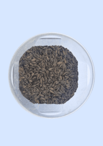 Lettuce seeds in a glass dish, narrow grey-black slivers