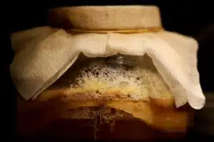Glass jar of amber kombucha covered with cheesecloth, a pale SCOBY disc floating beneath a layer of foam, against a dark background
