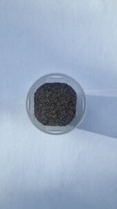 Dark elongated lettuce seeds in dish clean backdrop — EVEC microgreens methodology