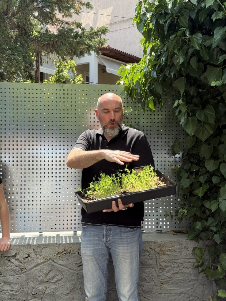 Volunteer holding a full tray of microgreens