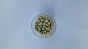 Green pea seeds in small dish soft even light — EVEC microgreens methodology