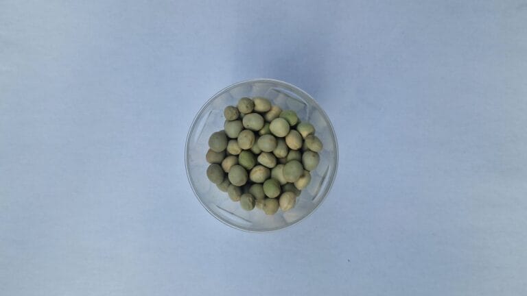 Green pea seeds in small dish soft even light — EVEC microgreens methodology